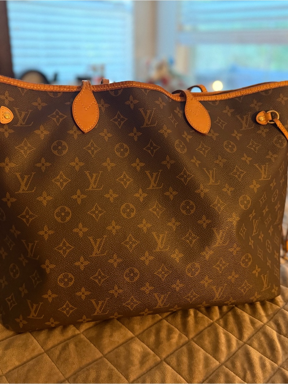 Louis Vuitton Monogram Canvas Tote with Vachetta Leather Trim - Picture 2 of 12